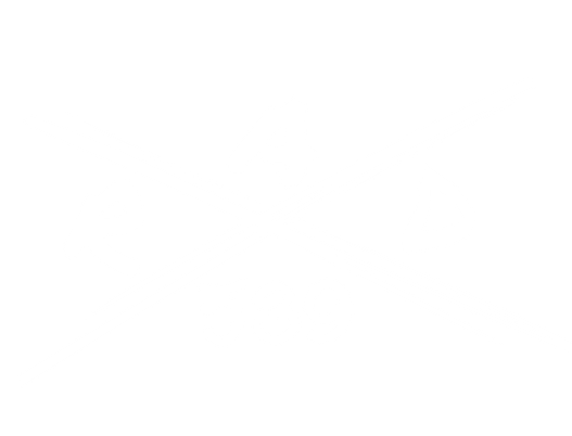 Ride539